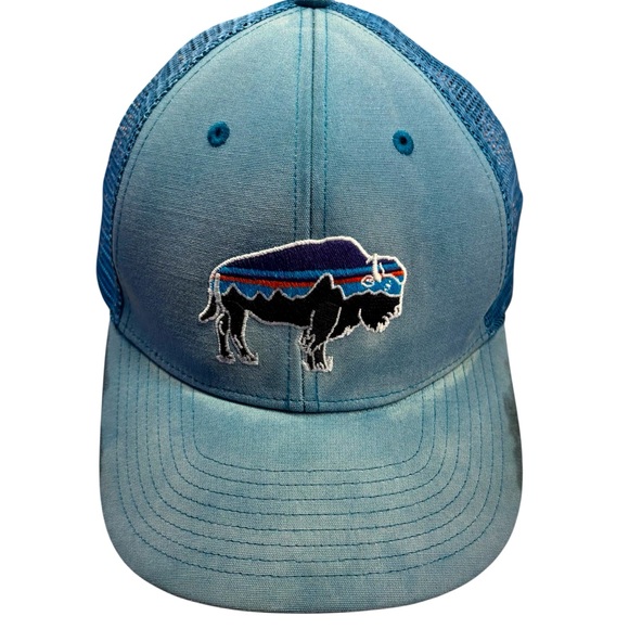 Patagonia Other - Patagonia fitz roy bison Trucker mesh Hat with Buffalo Embroidery distressed